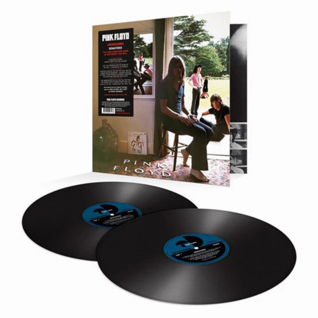 Pink Floyd - Ummagumma view 2